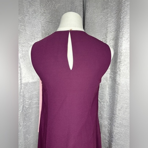 NEW Ted Baker London Braedyn Sleeveless Two-Tone Layered Dress Maroon Sz 0 - Picture 8 of 12